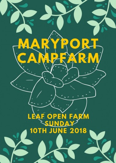 pdf camp farm graphic